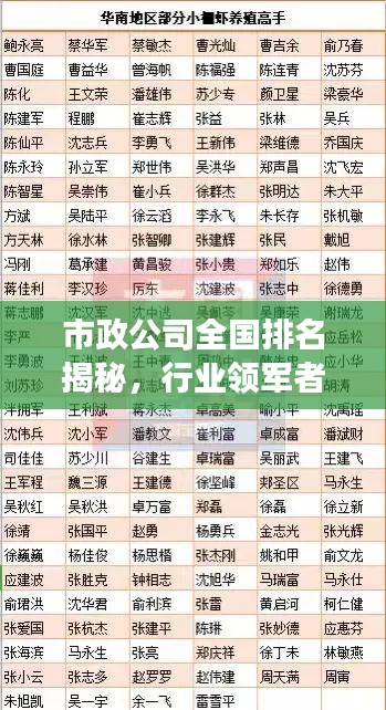 市政公司全国排名揭秘，行业领军者的成功秘诀探究