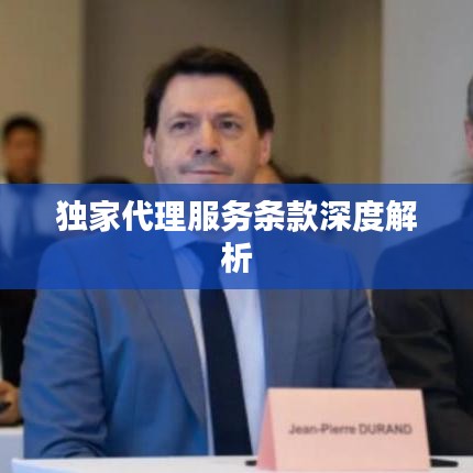 独家代理服务条款深度解析