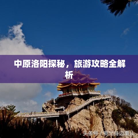 阿胶究竟有哪些功效 第72页