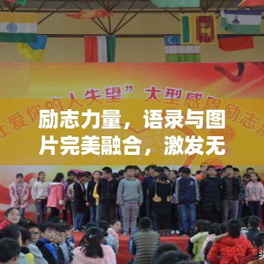 励志力量，语录与图片完美融合，激发无限潜能！