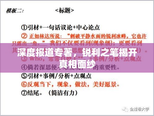 深度报道专著，锐利之笔揭开真相面纱