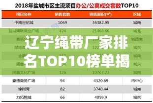 辽宁绳带厂家排名TOP10榜单揭晓！
