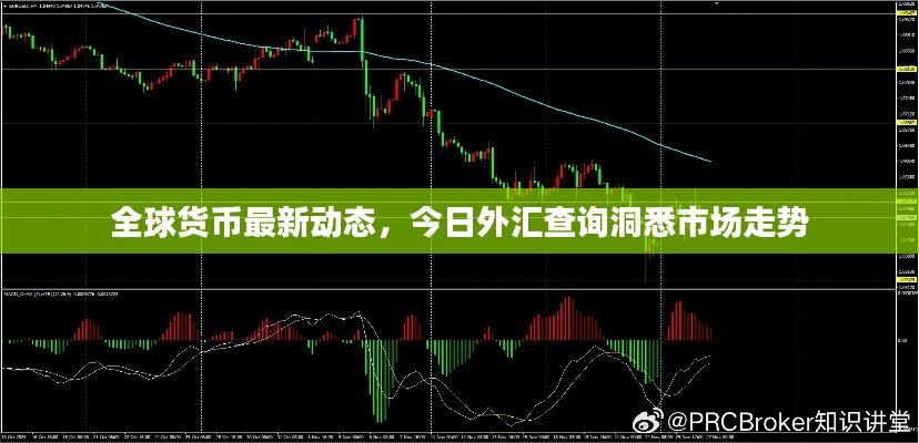 全球货币最新动态，今日外汇查询洞悉市场走势