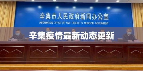 辛集疫情最新动态更新