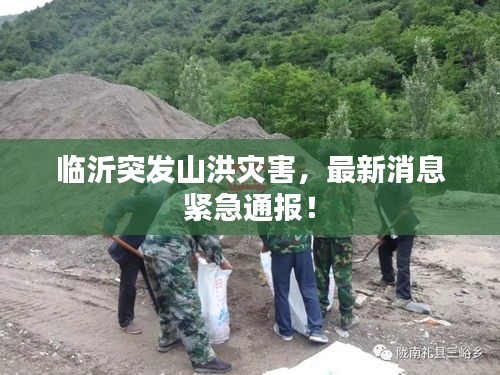 临沂突发山洪灾害，最新消息紧急通报！