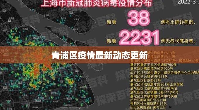 青浦区疫情最新动态更新