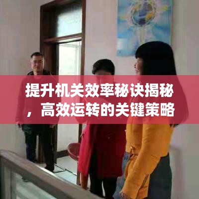 提升机关效率秘诀揭秘，高效运转的关键策略！