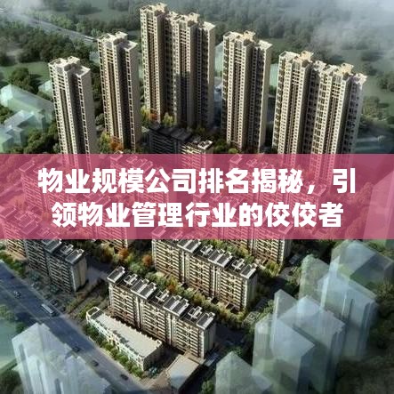 物业规模公司排名揭秘，引领物业管理行业的佼佼者