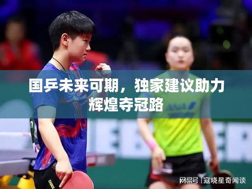 国乒未来可期，独家建议助力辉煌夺冠路
