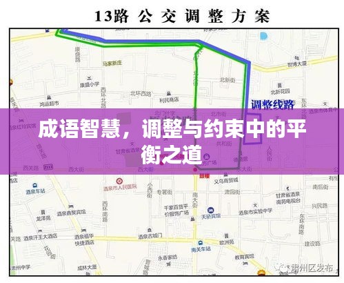 成语智慧，调整与约束中的平衡之道