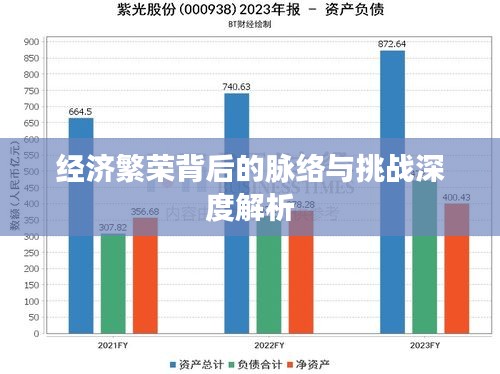经济繁荣背后的脉络与挑战深度解析