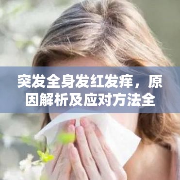 突发全身发红发痒，原因解析及应对方法全攻略