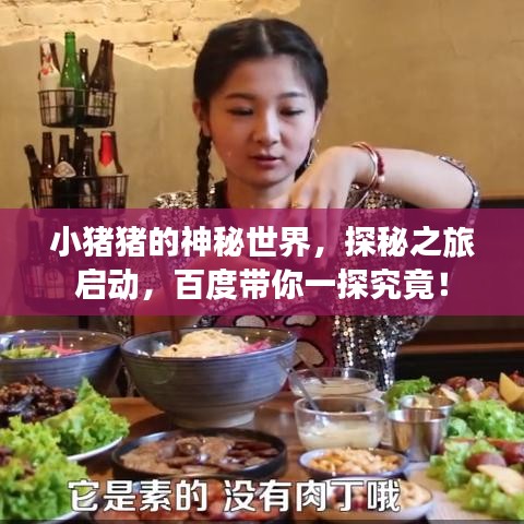 小猪猪的神秘世界，探秘之旅启动，百度带你一探究竟！