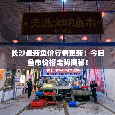 长沙最新鱼价行情更新！今日鱼市价格走势揭秘！