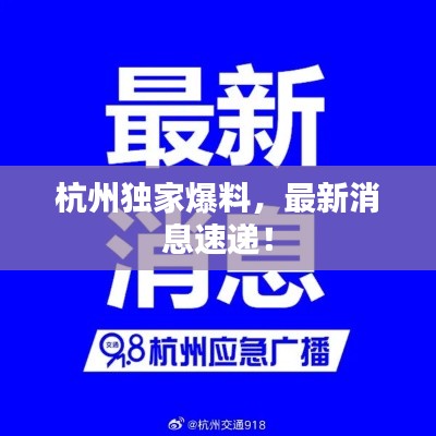 杭州独家爆料，最新消息速递！
