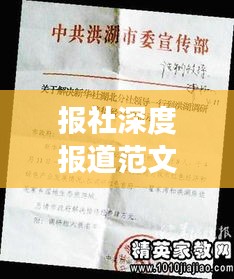 报社深度报道范文解析，揭秘如何撰写高质量深度报道标题