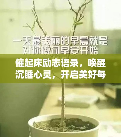 催起床励志语录，唤醒沉睡心灵，开启美好每一天！
