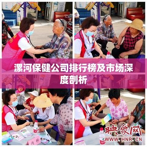 漯河保健公司排行榜及市场深度剖析