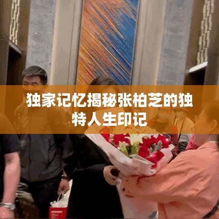 独家记忆揭秘张柏芝的独特人生印记