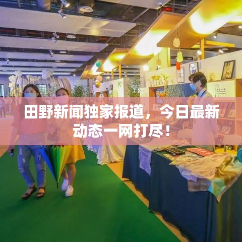 田野新闻独家报道，今日最新动态一网打尽！