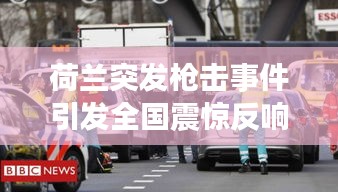 荷兰突发枪击事件引发全国震惊反响