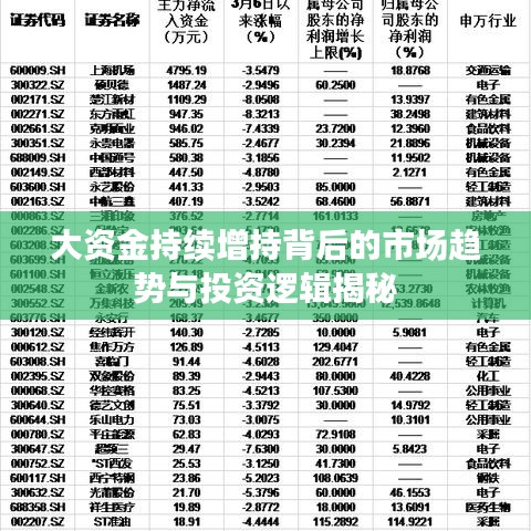 大资金持续增持背后的市场趋势与投资逻辑揭秘