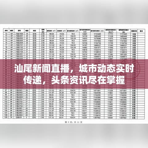 汕尾新闻直播，城市动态实时传递，头条资讯尽在掌握