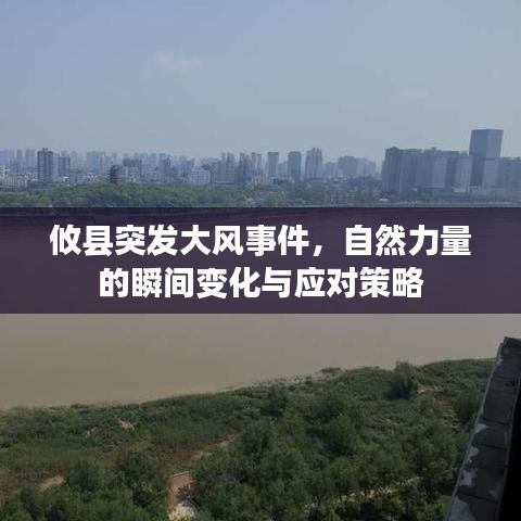 攸县突发大风事件，自然力量的瞬间变化与应对策略