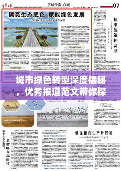 城市绿色转型深度揭秘，优秀报道范文带你探寻幕后故事