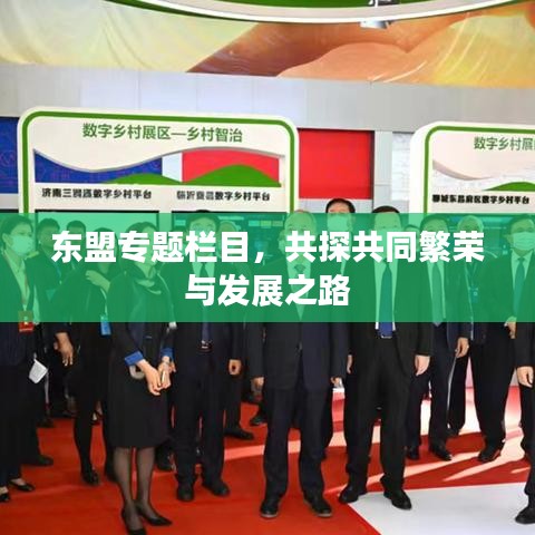 东盟专题栏目，共探共同繁荣与发展之路