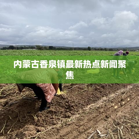 内蒙古香泉镇最新热点新闻聚焦