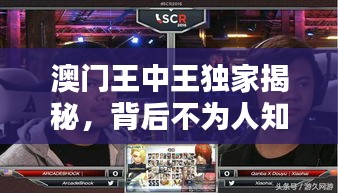 澳门王中王独家揭秘，背后不为人知的秘密猛料！