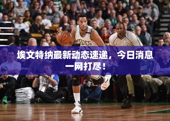 埃文特纳最新动态速递，今日消息一网打尽！