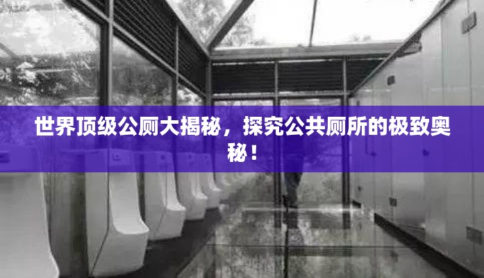 世界顶级公厕大揭秘，探究公共厕所的极致奥秘！