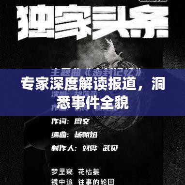 专家深度解读报道，洞悉事件全貌