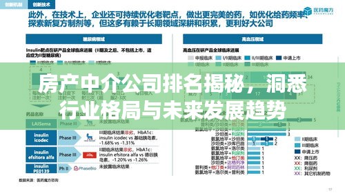 房产中介公司排名揭秘，洞悉行业格局与未来发展趋势