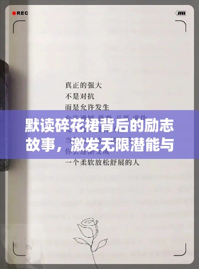 默读碎花裙背后的励志故事，激发无限潜能与梦想的力量