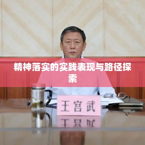 精神落实的实践表现与路径探索