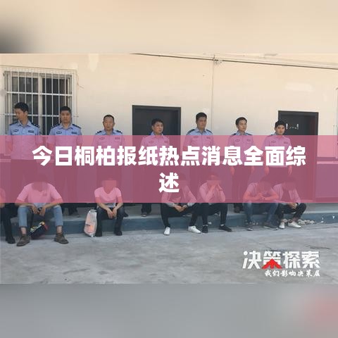 今日桐柏报纸热点消息全面综述