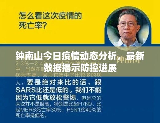 钟南山今日疫情动态分析，最新数据揭示防控进展