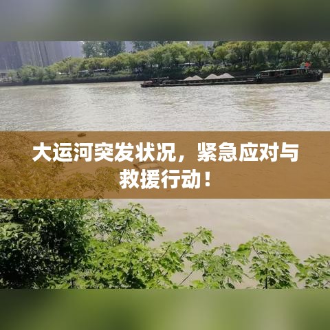 大运河突发状况，紧急应对与救援行动！