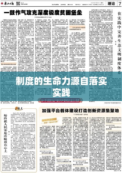 制度的生命力源自落实实践