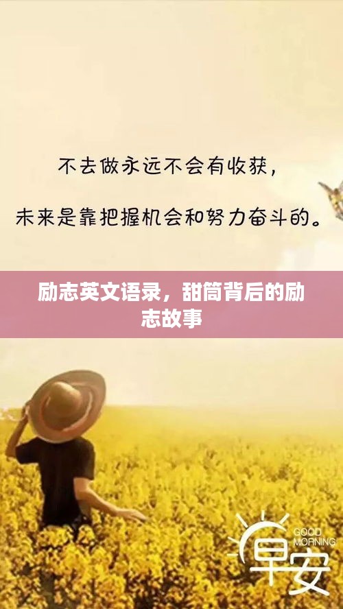 励志英文语录，甜筒背后的励志故事