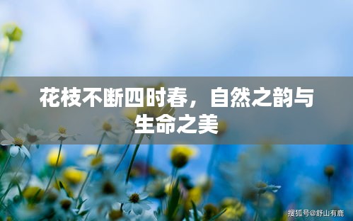 花枝不断四时春，自然之韵与生命之美