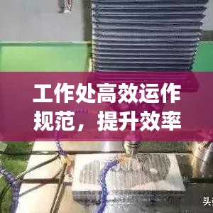 工作处高效运作规范，提升效率，优化流程