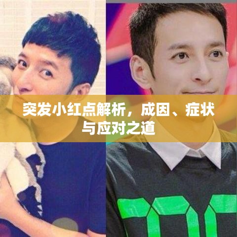 突发小红点解析，成因、症状与应对之道