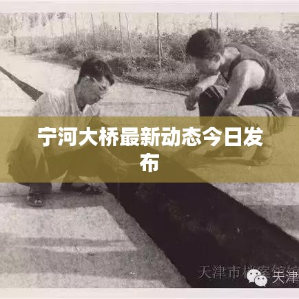 宁河大桥最新动态今日发布