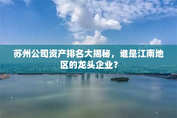 苏州公司资产排名大揭秘，谁是江南地区的龙头企业？