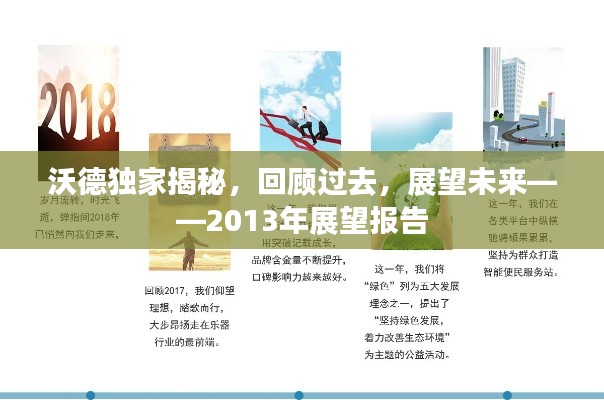 沃德独家揭秘，回顾过去，展望未来——2013年展望报告