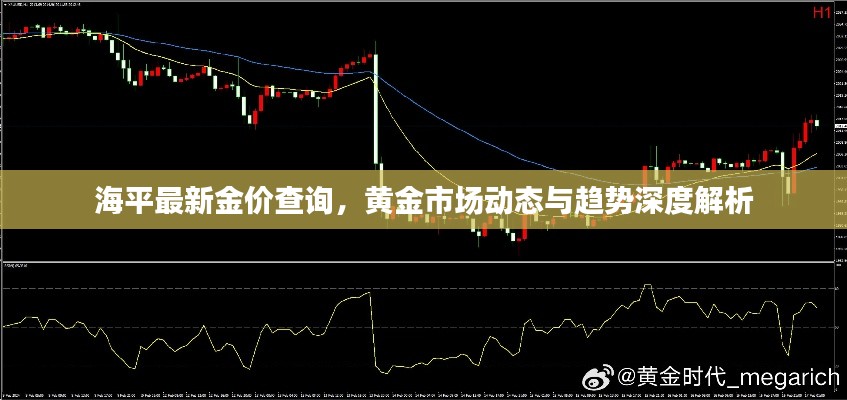 海平最新金价查询，黄金市场动态与趋势深度解析